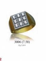 3006