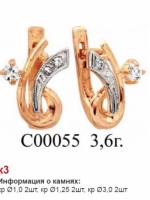 с00055