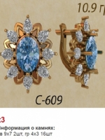 с609