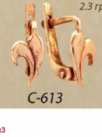 с613